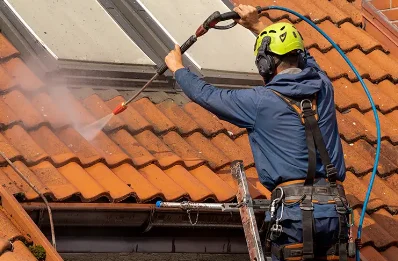Démoussage et hydrofuge de toiture à Barbaira